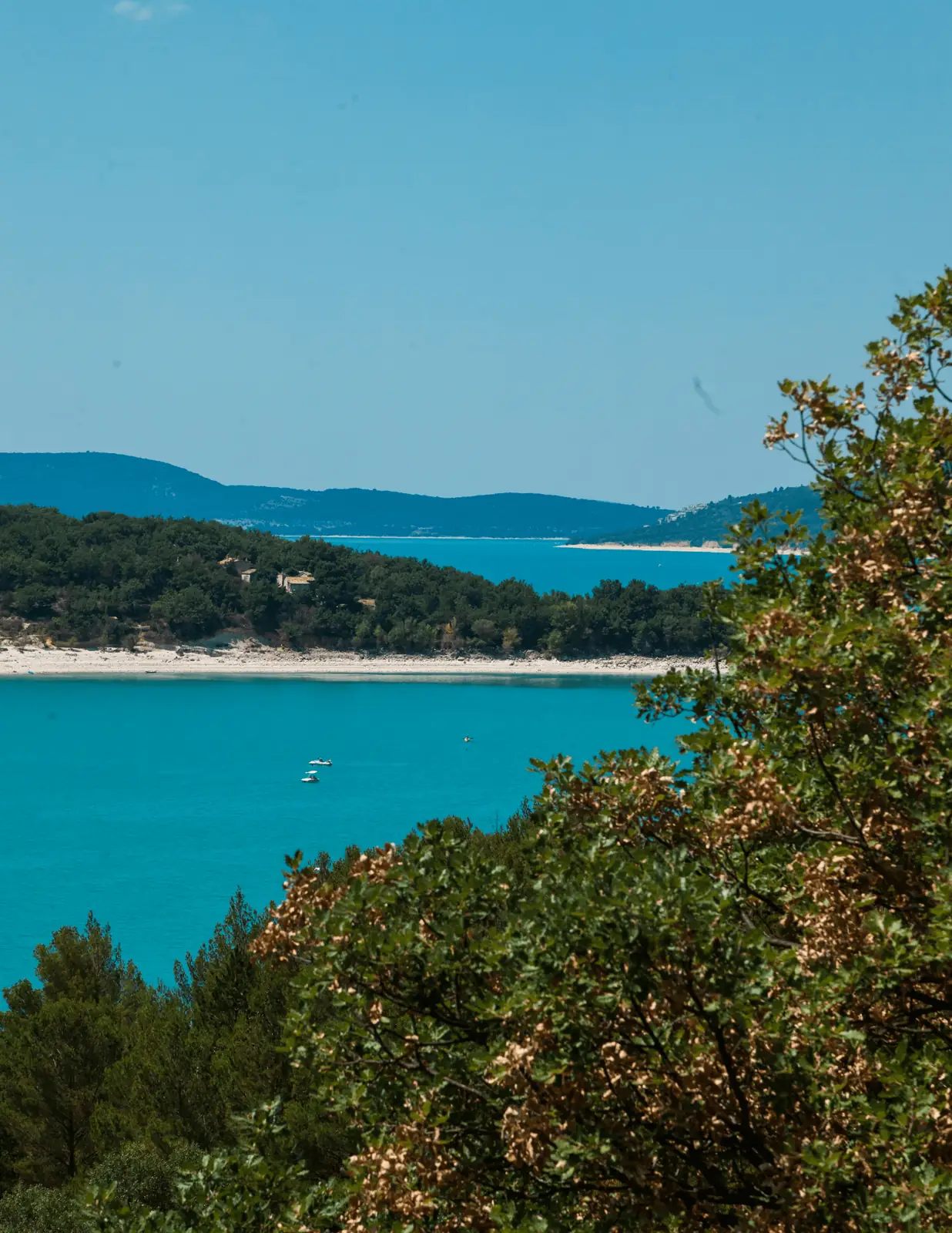 Turquoise Mediterranean bay seen through trees
